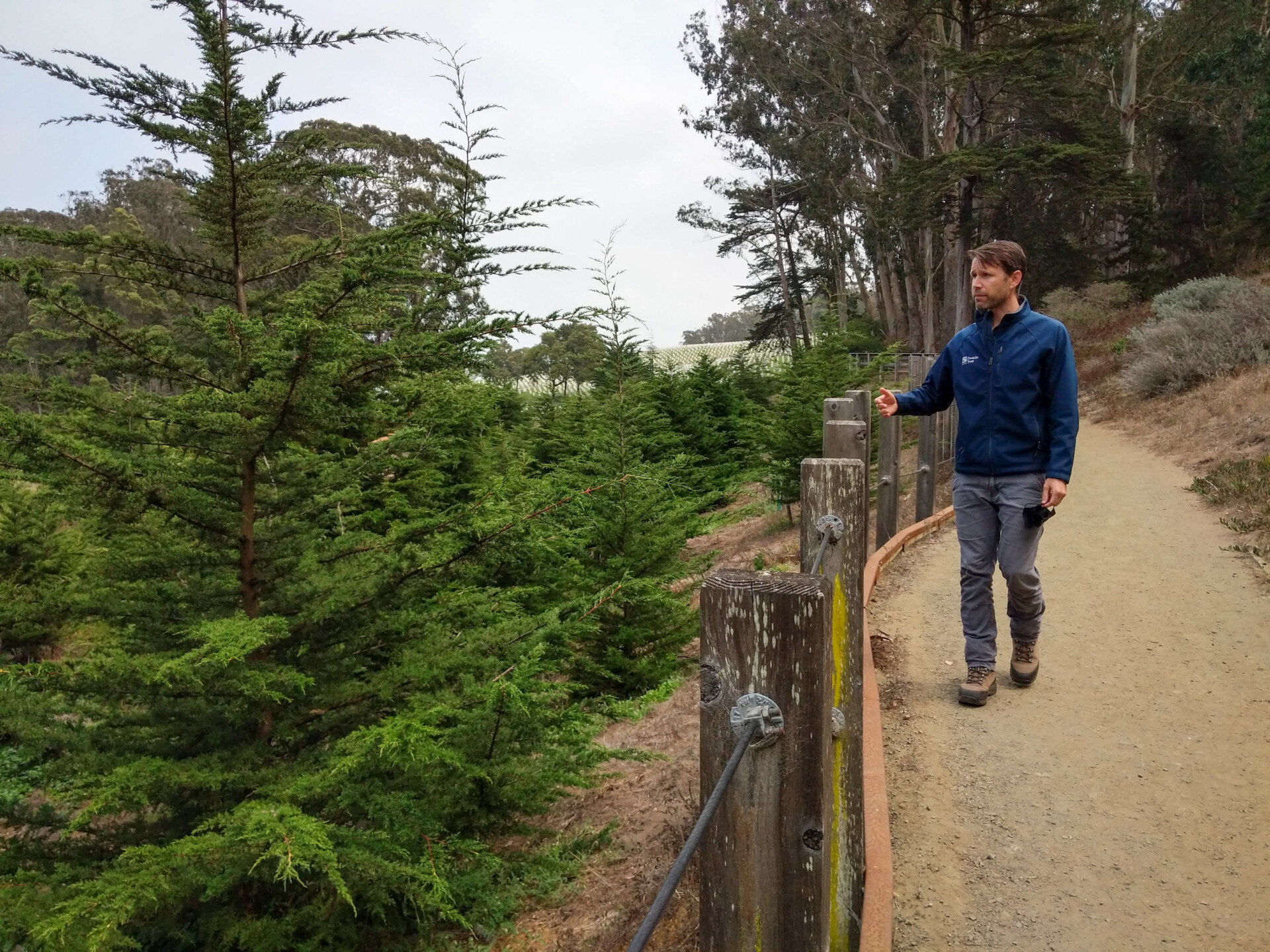 Photograph of Blake Troxel, former forester at the Presidio Trust, pointing out young Monterey cypress trees along the Park Trail