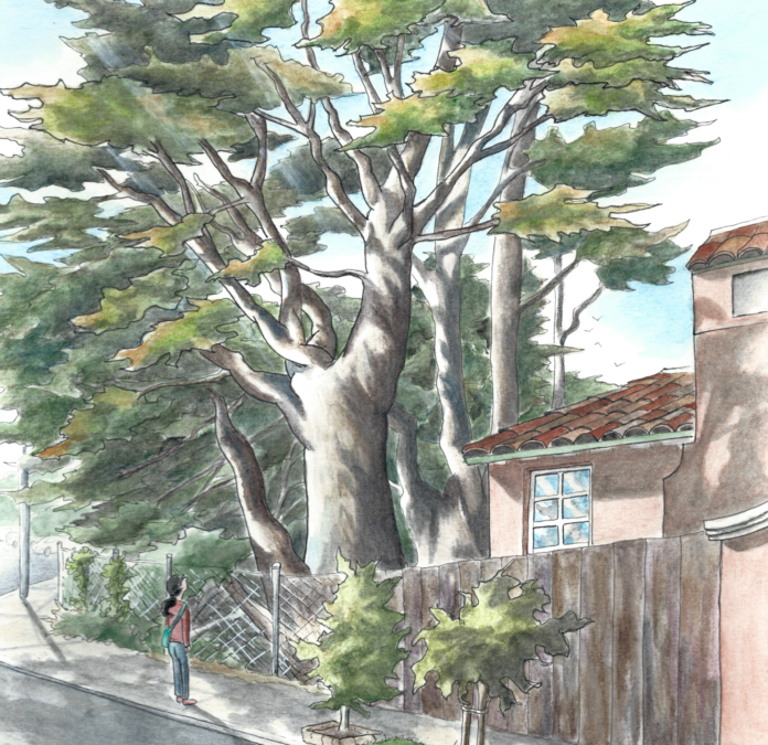 A watercolor illustration of a woman starting up in wonder at the sounds of a majestic cypress tree